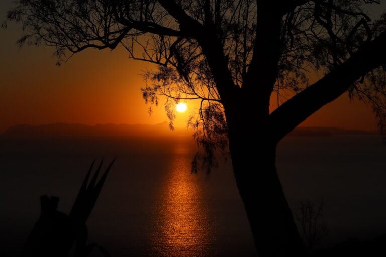 Darm Hirn Verbindung bei Depression